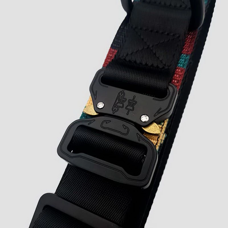 Polyester Quick Release Collar for Large Dogs